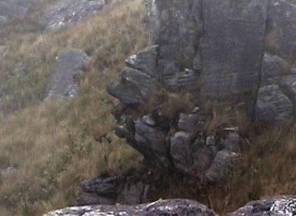 BOSQUE DE PIEDRAS RUNA RUNA 02