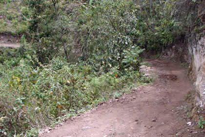CAMINATA COCACHIMBA-GOCTA-COCACHIMBA 10