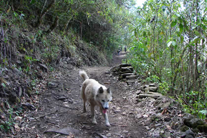 CAMINATA COCACHIMBA-GOCTA-COCACHIMBA 24