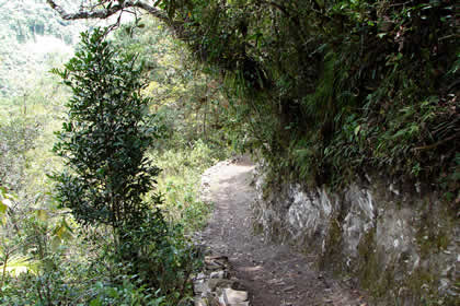 CAMINATA COCACHIMBA-GOCTA-COCACHIMBA 31