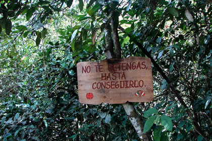 CAMINATA COCACHIMBA-GOCTA-COCACHIMBA 39