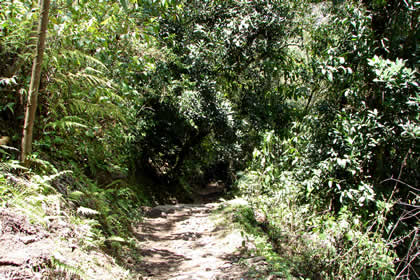 CAMINATA COCACHIMBA-GOCTA-COCACHIMBA 46