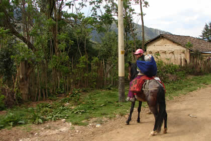 RUTA CHACANTO-LEYMEBAMBA 73