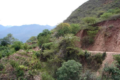 CHACHAPOYAS-CHACANTO-CAJAMARCA 61