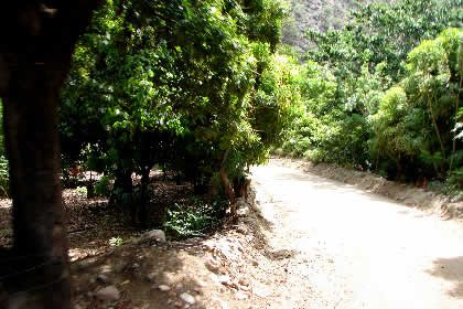 CHACHAPOYAS-CHACANTO-CAJAMARCA 89