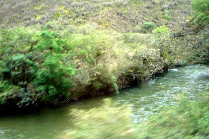 RUTA CHACHAPOYAS - TINGO 04