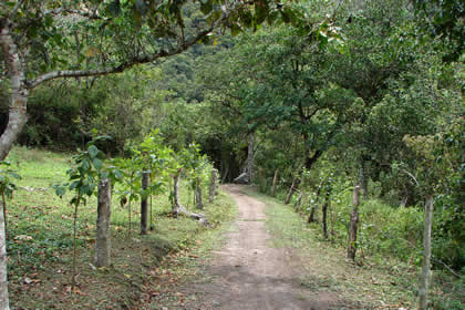 CABAÑITA LA GOLONDRINA 04