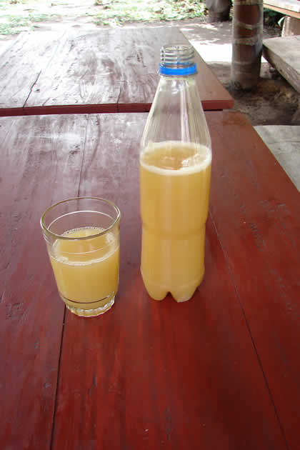 CABAÑITA LA GOLONDRINA 05