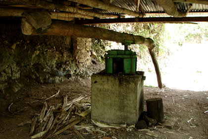 EL TRAPICHE 09