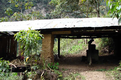 EL TRAPICHE 10