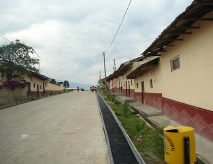 NUEVO TINGO 10