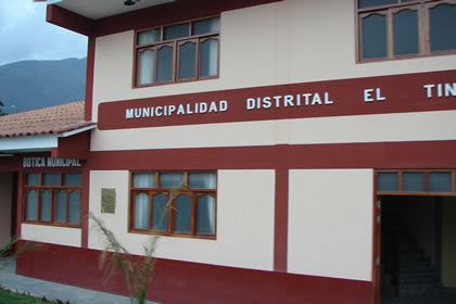 NUEVO TINGO 12