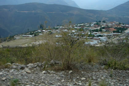 NUEVO TINGO 14