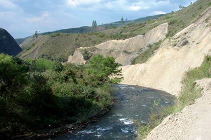 PALMIRA 03