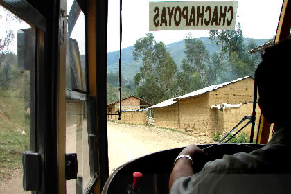 PALMIRA 08