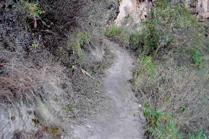CAMINATA DE REGRESO DE PUEBLO DE MUERTOS 27