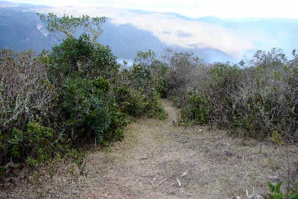 CAMINATA DE REGRESO DE PUEBLO DE MUERTOS 40