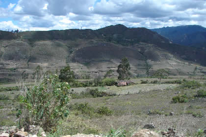 SAN MIGUEL DE CRUZ PATA - LAMUD 06
