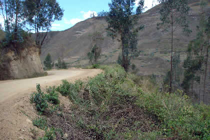 SAN MIGUEL DE CRUZ PATA - LAMUD 09