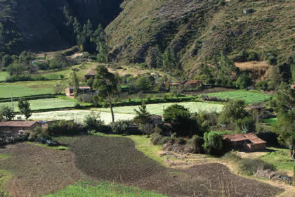 CHALLHUACHO - ALAMEDA - HUERTAPATA 03