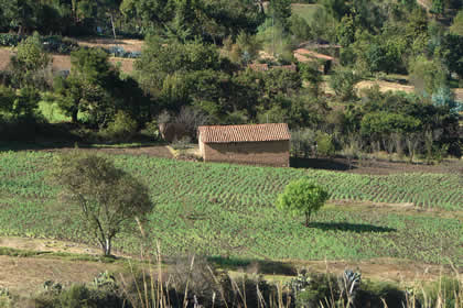 CHALLHUACHO - ALAMEDA - HUERTAPATA 04