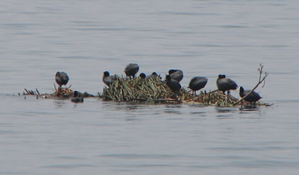 LAGUNA DE PACUCHA 28