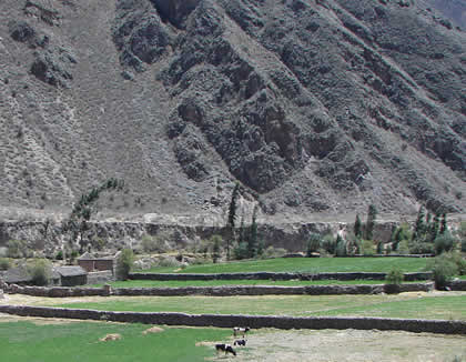 CAÑON DE COTAHUASI 42