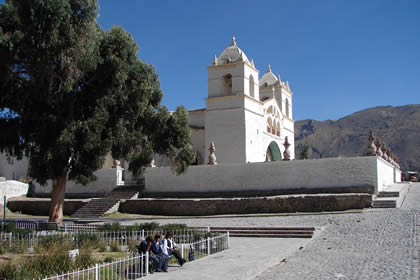 MACA 06