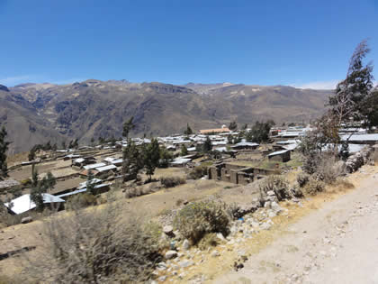 PINCHOLLO 04