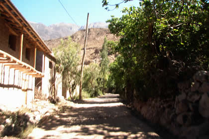 PIRO 08
