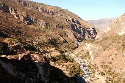 PUYCA 04