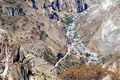PUYCA 05