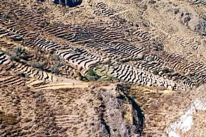 PUYCA 06