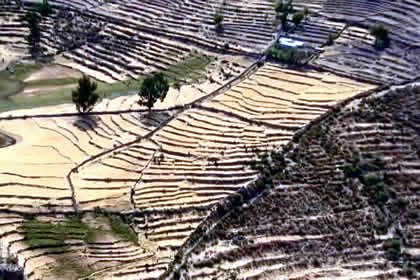 PUYCA 07