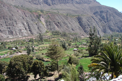 VALLE COTAHUASI Y CAMPINA 01