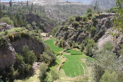 VALLE COTAHUASI Y CAMPINA 02