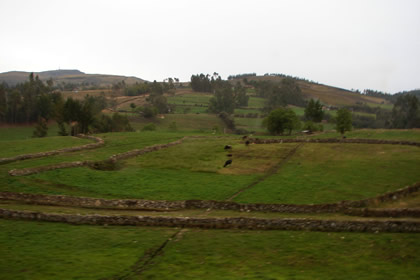 ENCAÑADA - PAMPA HERMELINDA 10