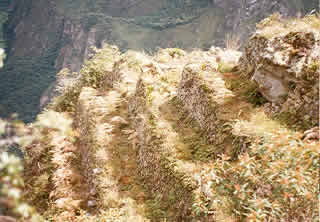 HUAYNA PICCHU 03