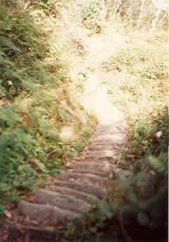 HUAYNA PICCHU 04
