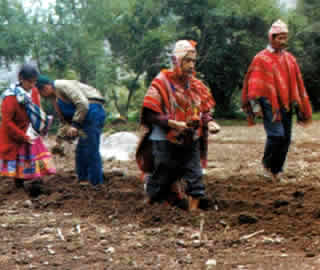 07pumahuanca