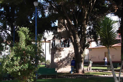 PAQCHA DE PUMAQCHUPAN 03