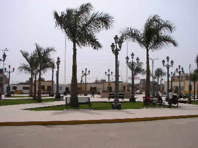 CHINCHA BAJA 03
