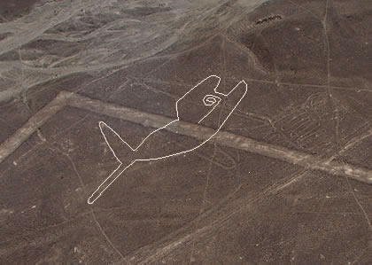 LA BALLENA DE LAS LINEAS DE NAZCA 02