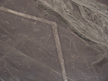 LA BALLENA DE LAS LINEAS DE NAZCA 04
