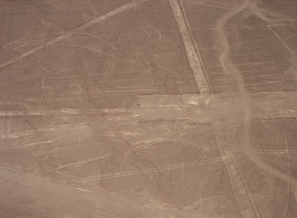 GEOGLIFO EL LORO 01