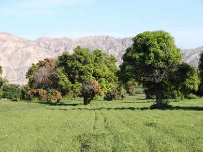 EL VALLE DE PALPA 03