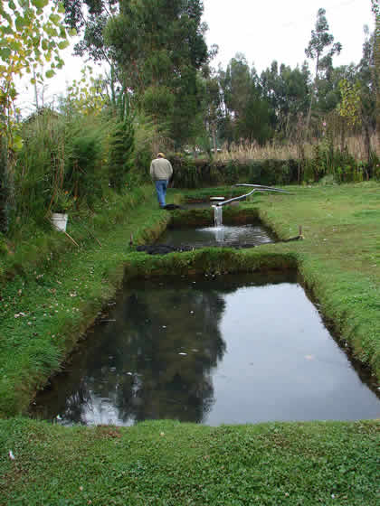 CRIADERO DE TRUCHAS DE LA LAGUNA DE ÑAHUINPUQUIO 01
