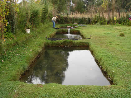 CRIADERO DE TRUCHAS DE LA LAGUNA DE ÑAHUINPUQUIO 02