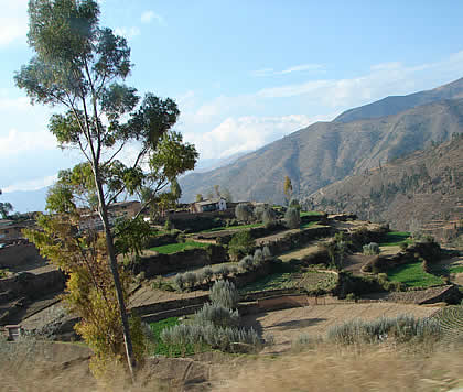 LOS ANDENES DE TARMATAMBO 01