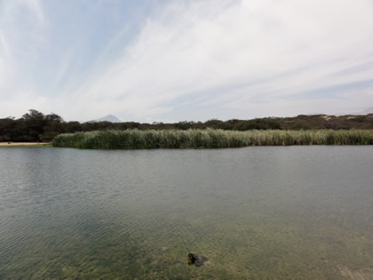 LAGUNA EL GALLINAZO 04